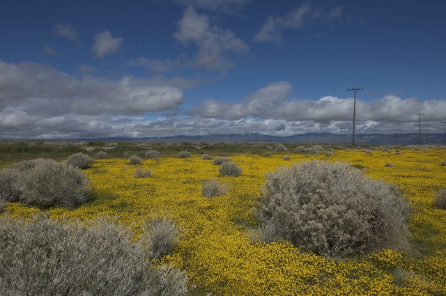dsc_1581.jpg