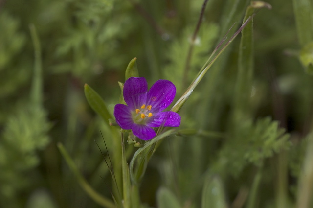 dsc_1704.jpg