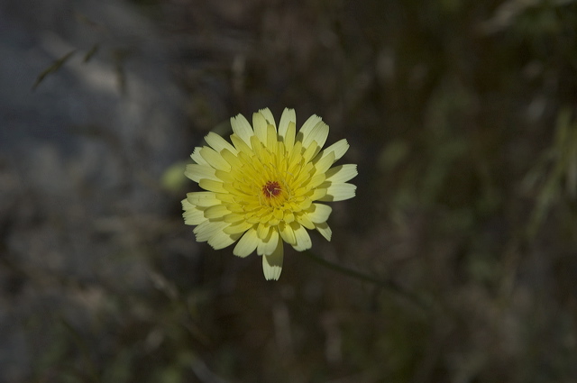 dsc_1834.jpg