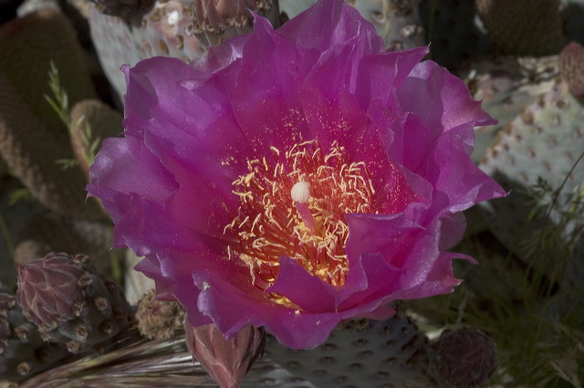 dsc_1853.jpg
