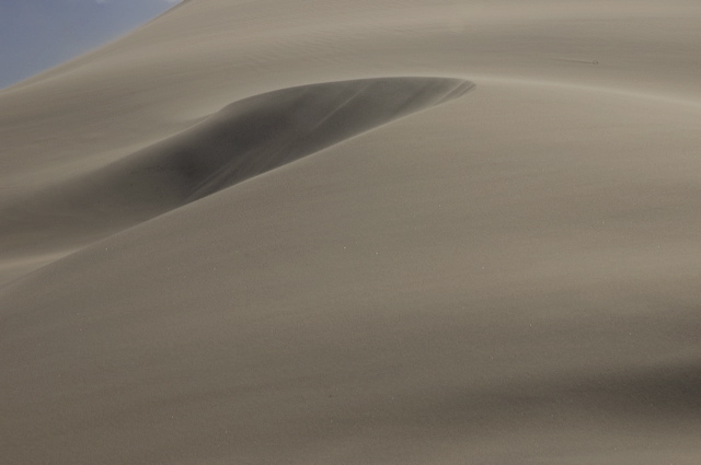 dsc_1931.jpg