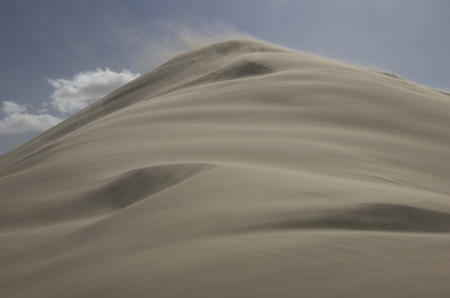 dsc_1945.jpg