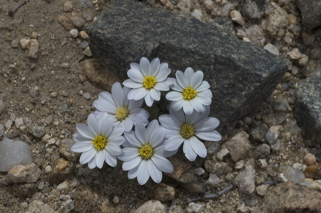 dsc_2220.jpg