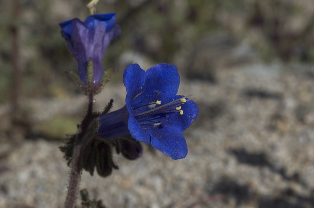 dsc_2280.jpg