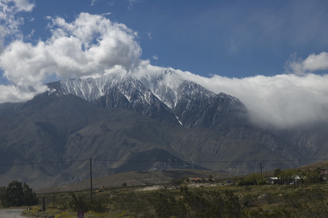 dsc_2399.jpg