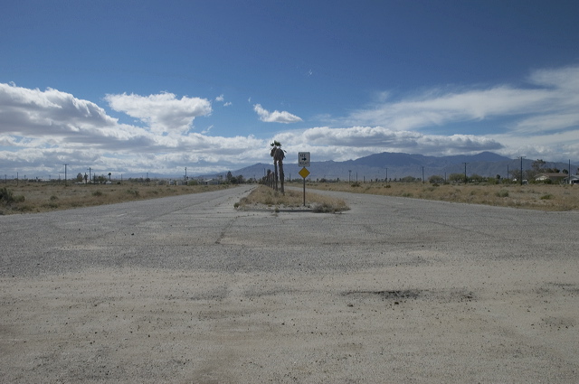 dsc_2453.jpg