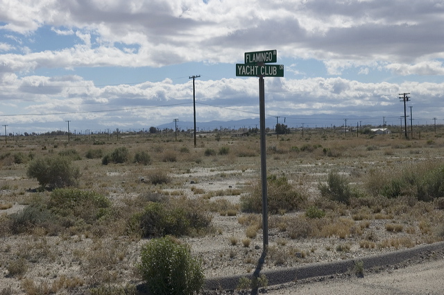 dsc_2454.jpg