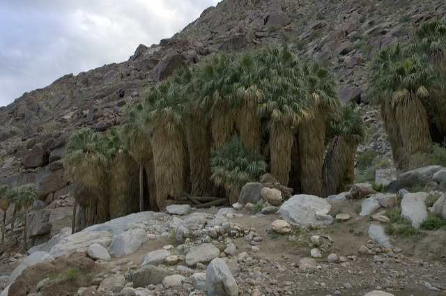 dsc_2519.jpg