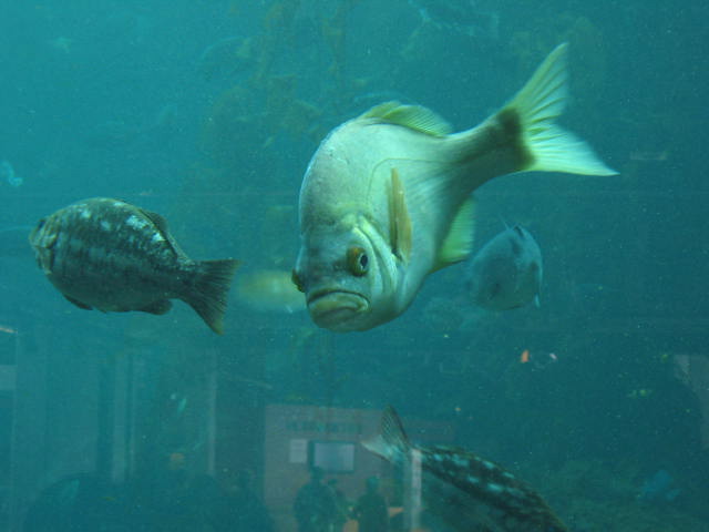 crw_6147.jpg