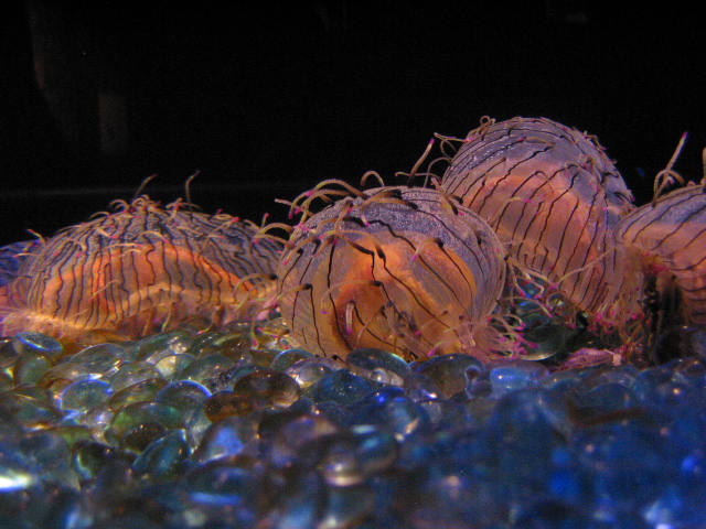 crw_6189.jpg
