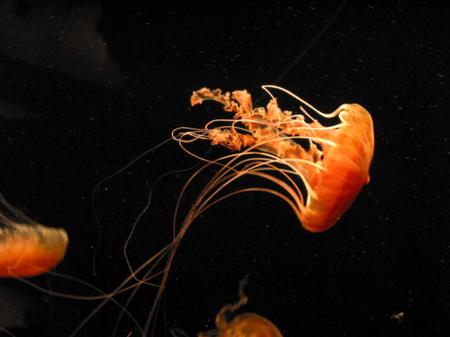 crw_6206.jpg