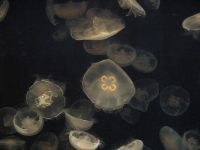 crw_6215.jpg