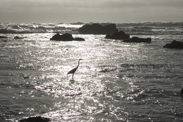 dsc_1446.jpg