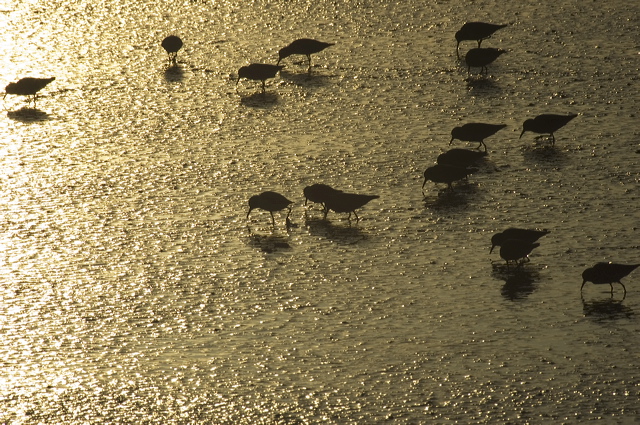dsc_3040.jpg
