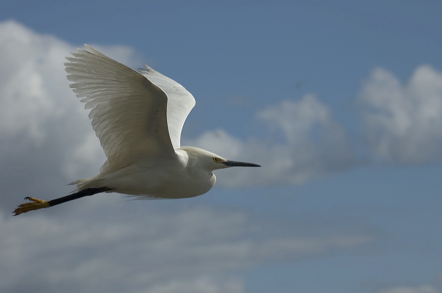 dsc_3305.jpg