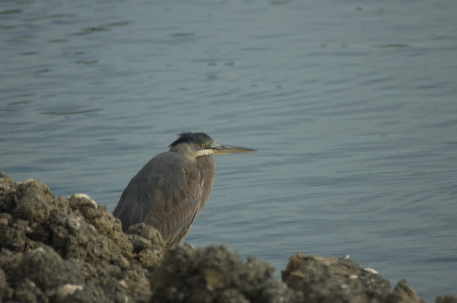 dsc_6789.jpg
