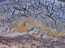 6067_crw