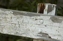 _dsc8271