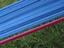 crw_6652