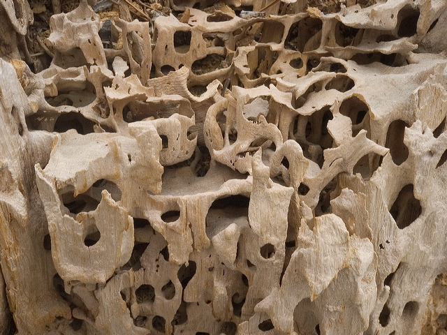 6009_crw.jpg