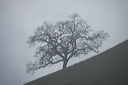 _dsc8075