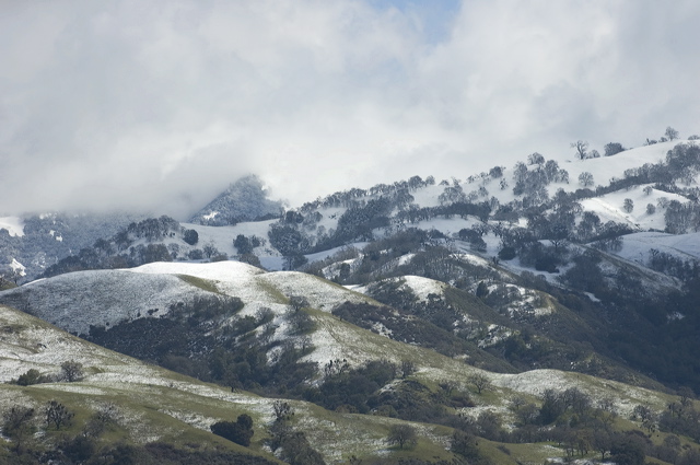 _dsc8116.jpg