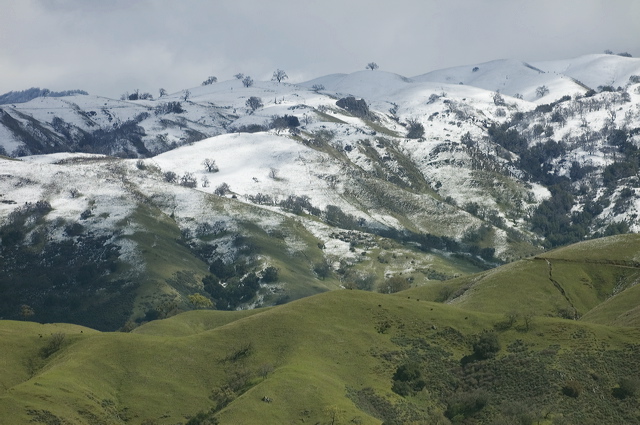 _dsc8126.jpg