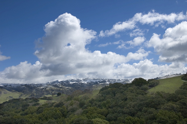 _dsc8131.jpg