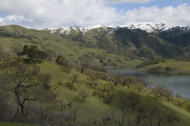 _dsc8158.jpg