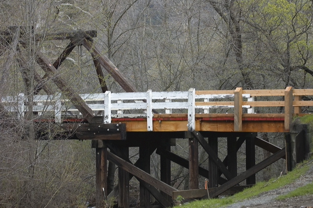_dsc8178.jpg