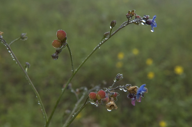 dsc_1469.jpg