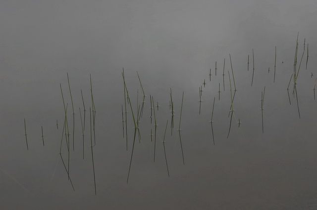 dsc_1533.jpg