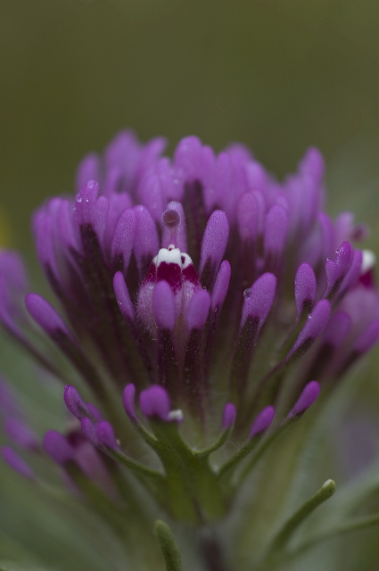 dsc_1691.jpg