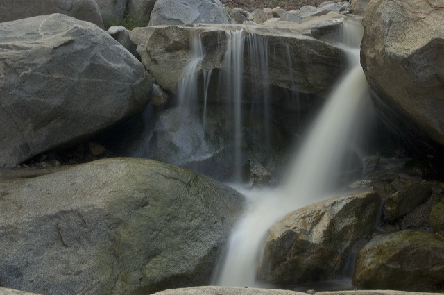 dsc_2521.jpg