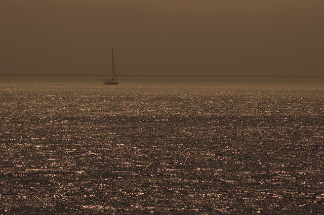 dsc_4241.jpg