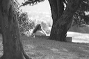 dsc_3130-mono