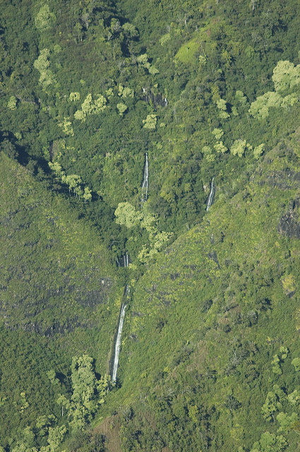 dsc_5754.jpg