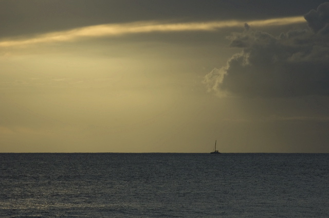 dsc_5774.jpg