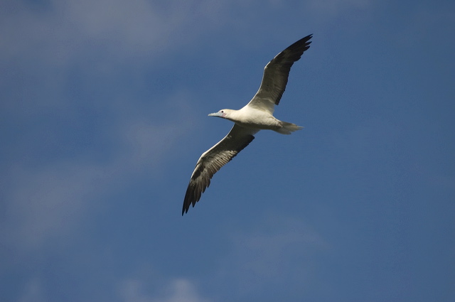 dsc_5431.jpg
