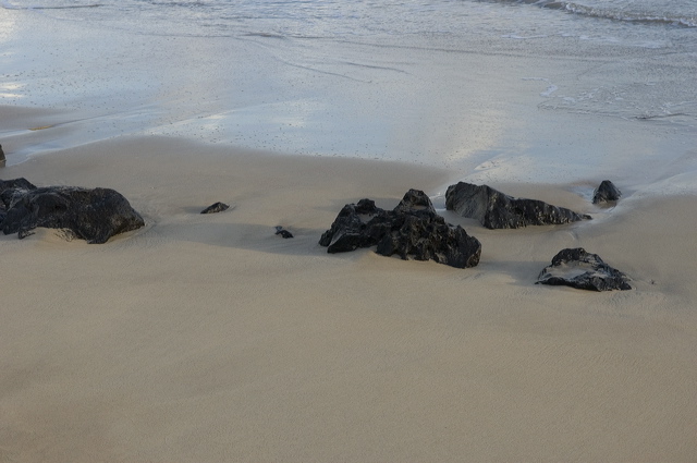 dsc_5463.jpg