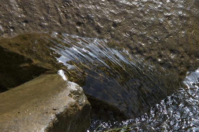 dsc_5905.jpg