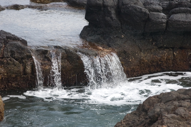 dsc_6011.jpg
