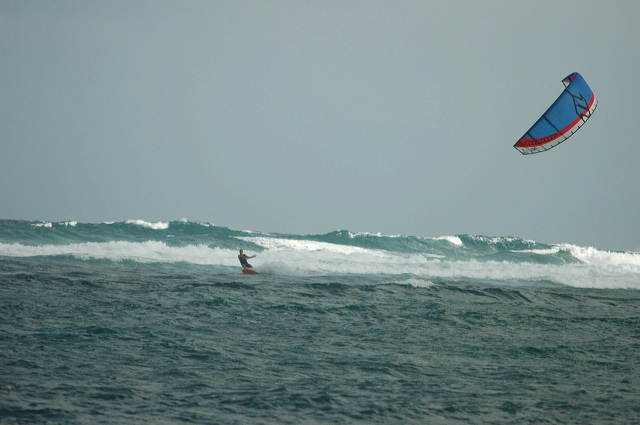 dsc_6272.jpg
