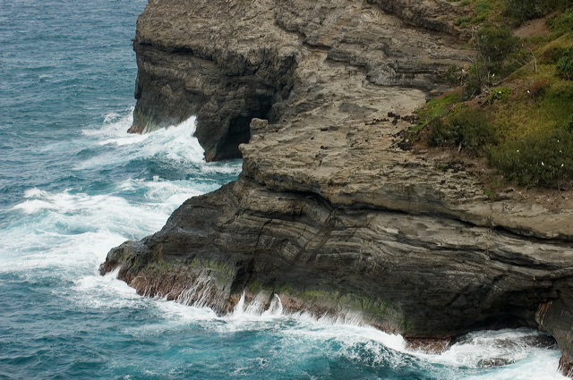 dsc_6425.jpg