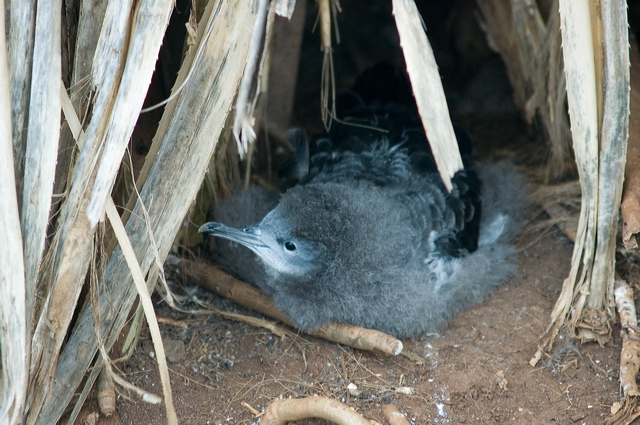 dsc_6428.jpg
