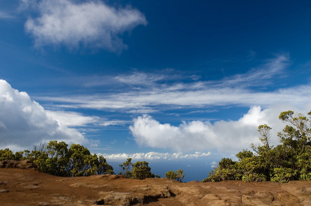 dsc_6680.jpg