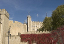crw_6369