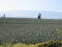 149-4999_img
