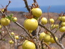 150-5022_img