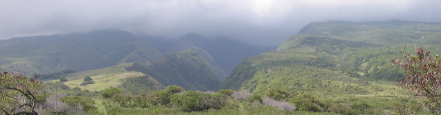 150-5049-merged.jpg